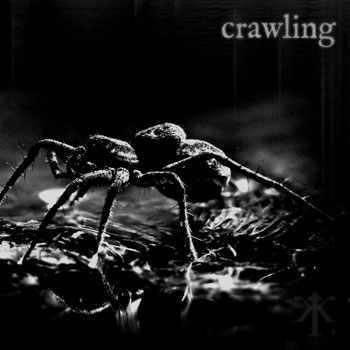 impurfektcrawling.jpg