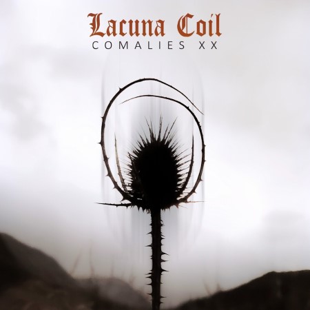lacunacoil_comaliesxx.jpg