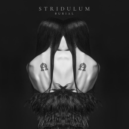 stridulum_burial.jpg