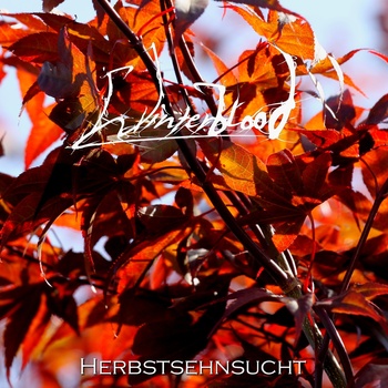 winterbloodherbstsehnsucht.jpg