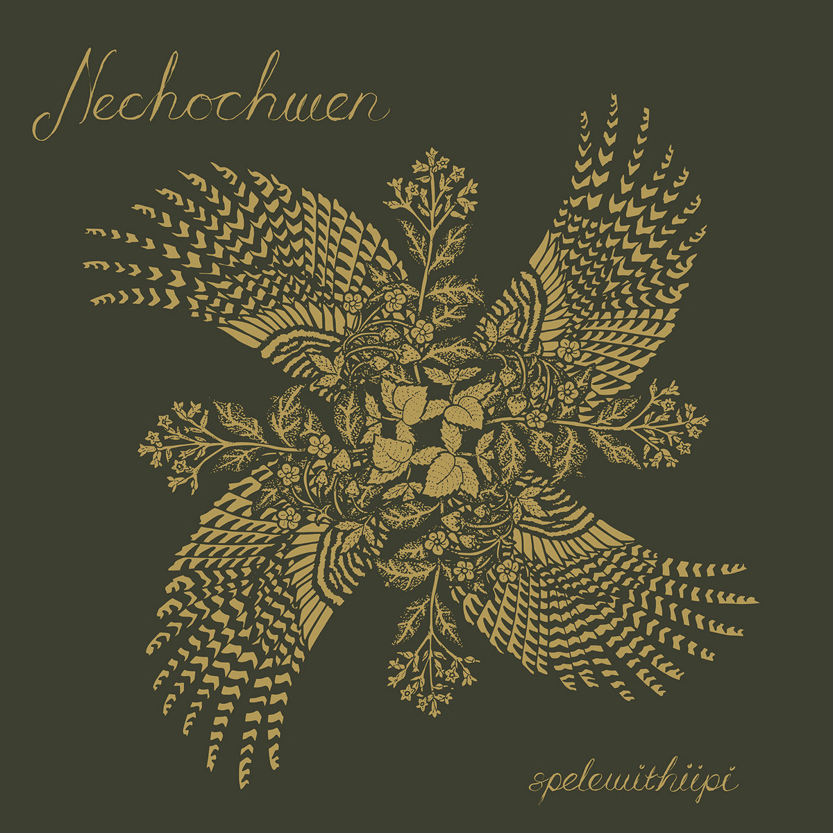Nechochwen  - spelewithiipi
