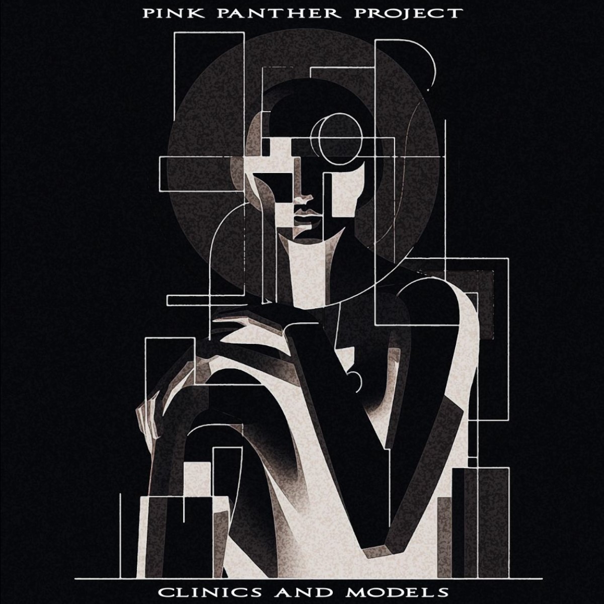 Pink Panther Project - Clinics And Models