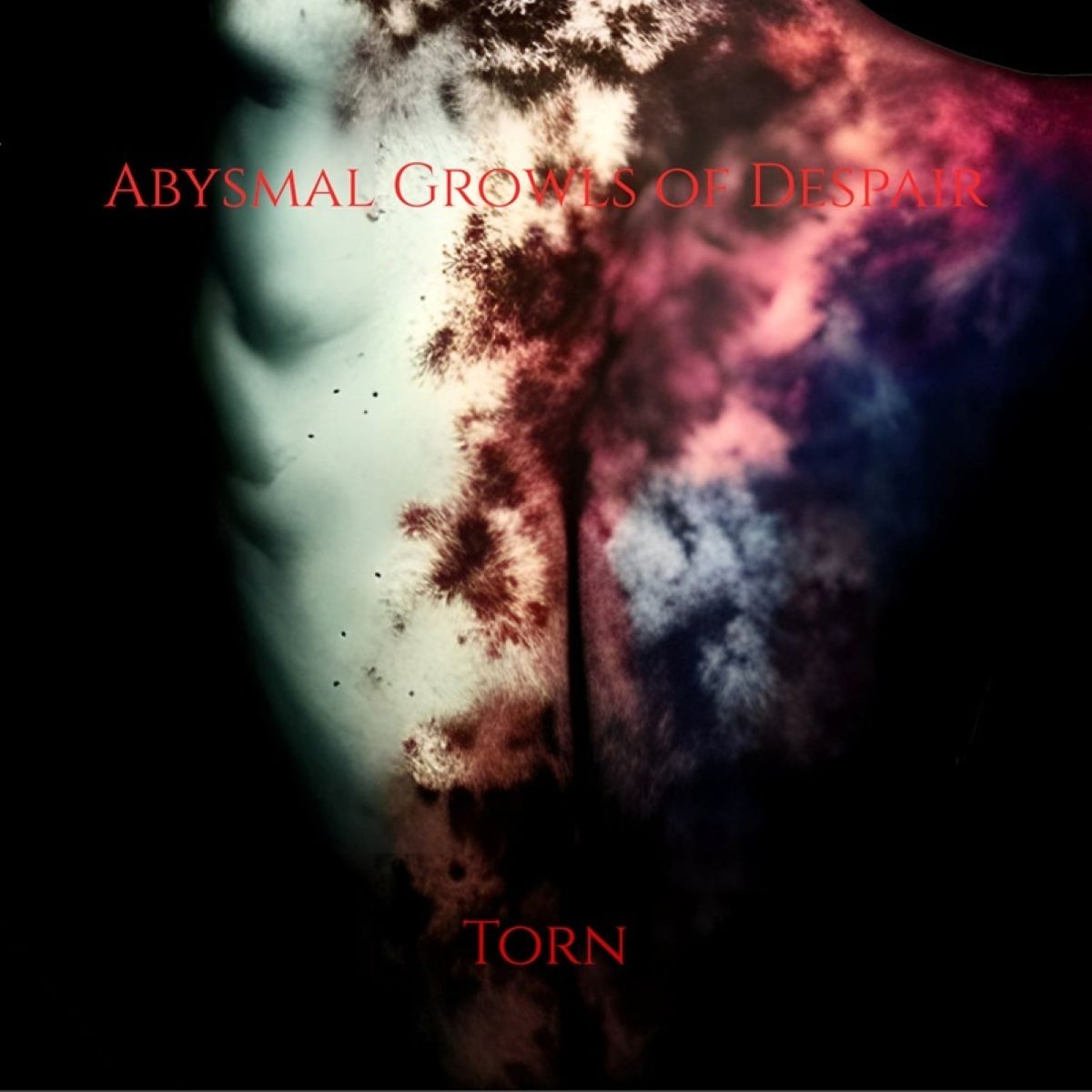 Abysmal Growls Of Despair - Torn