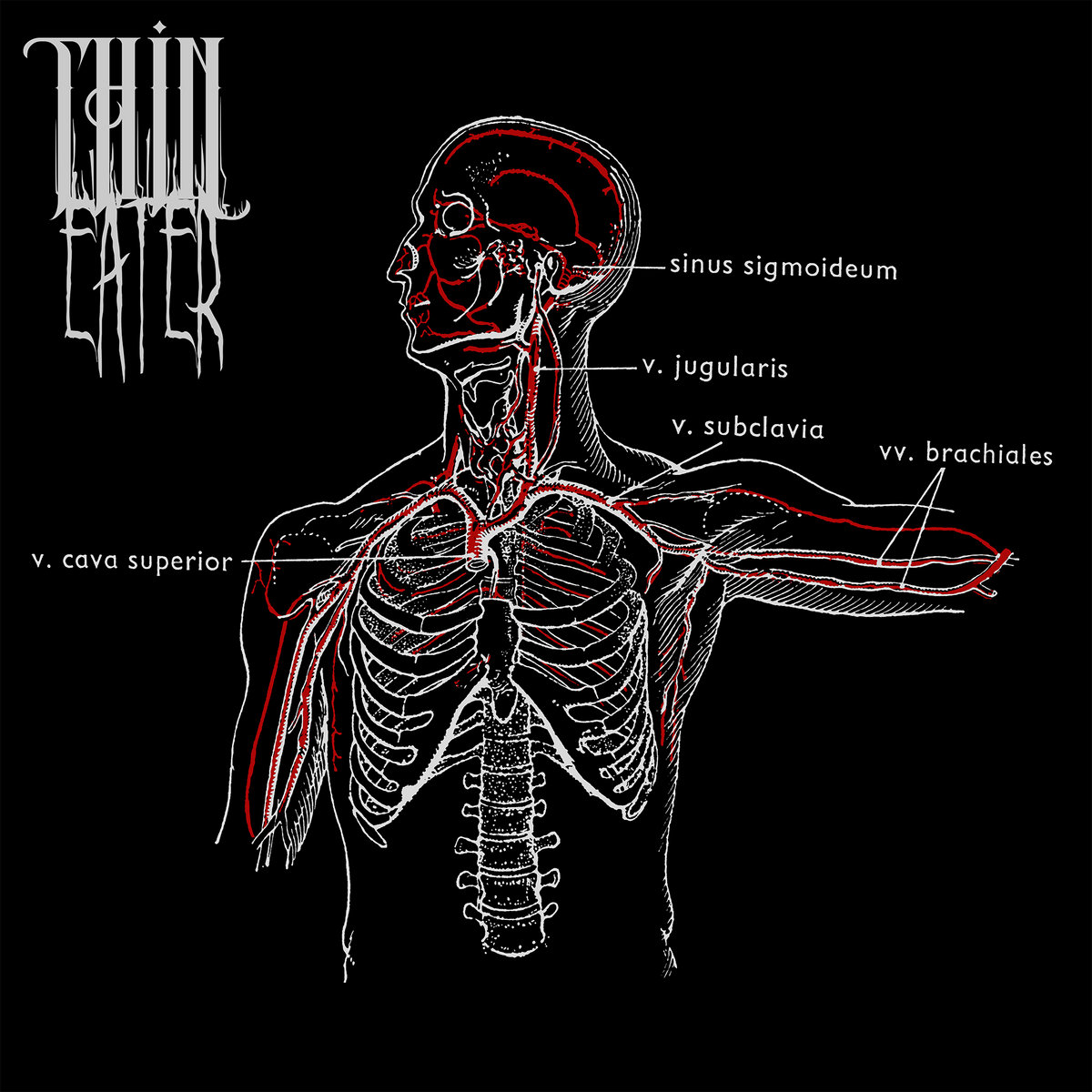 Thin Eater - Thin Eater
