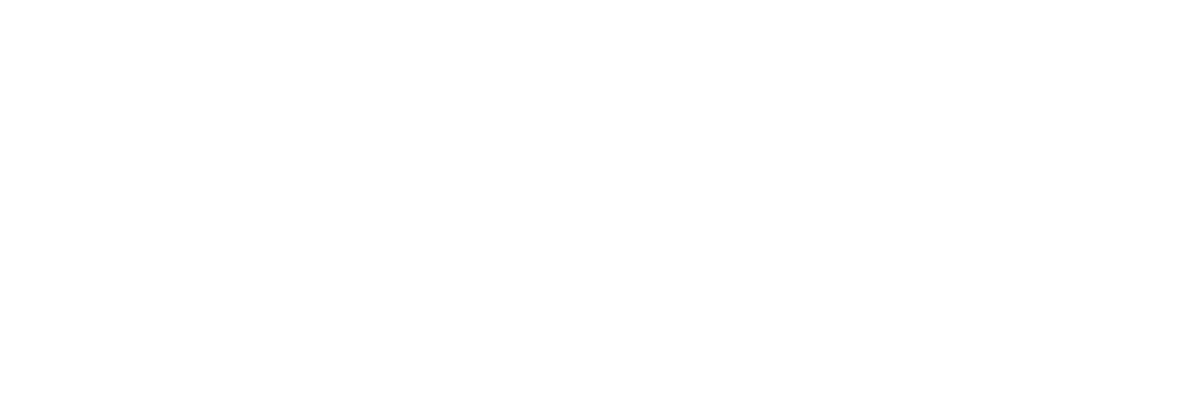 Mono Inc.